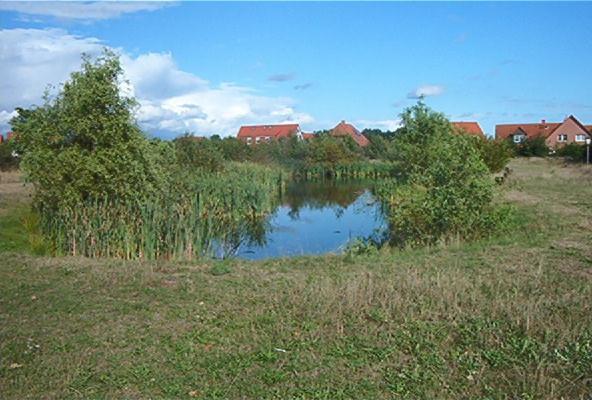 Ferienwohnungen Manfred Peters Baven Hermannsburg Exterior foto